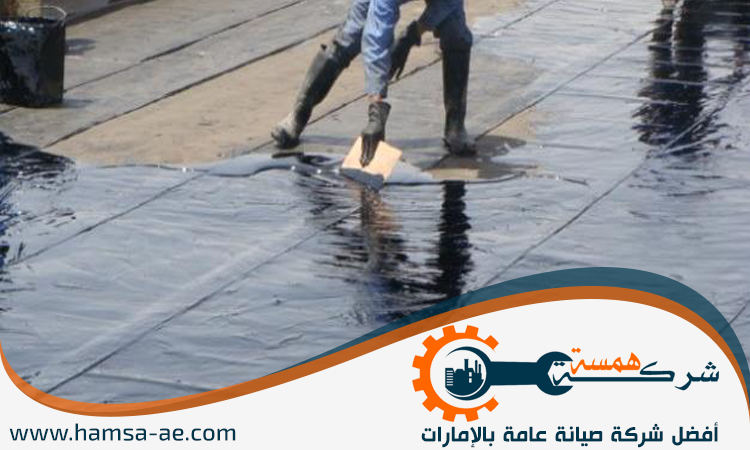 شركة عزل أسطح في دبي