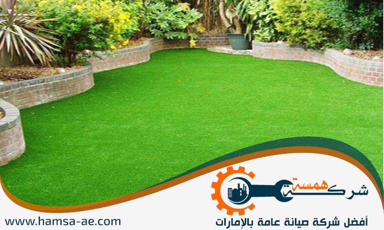 تركيب عشب في العين